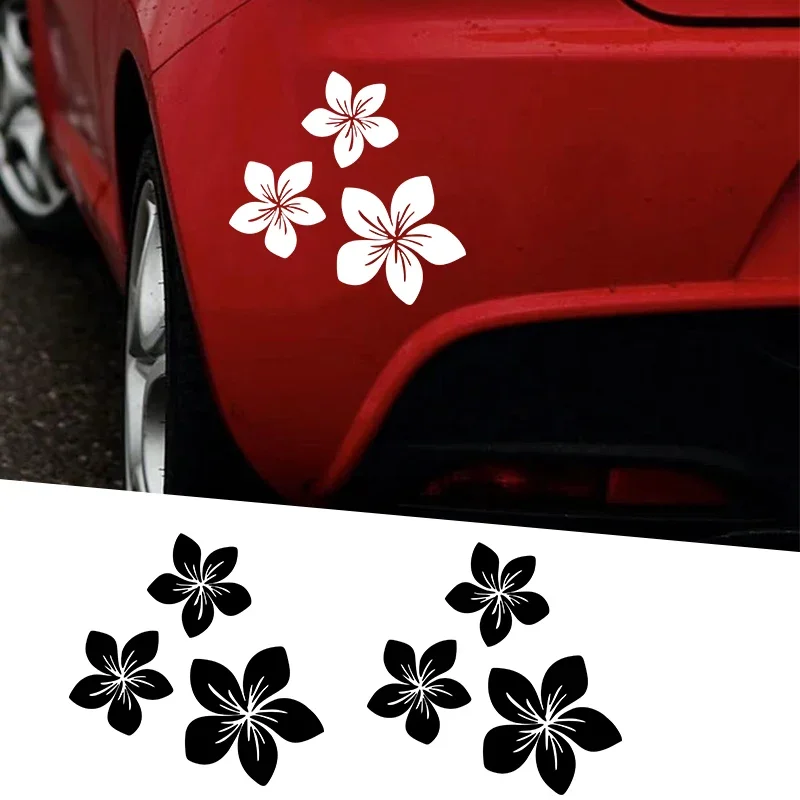 Various Colors Pretty Flower G - Weight Plate Bumper 评论和价格