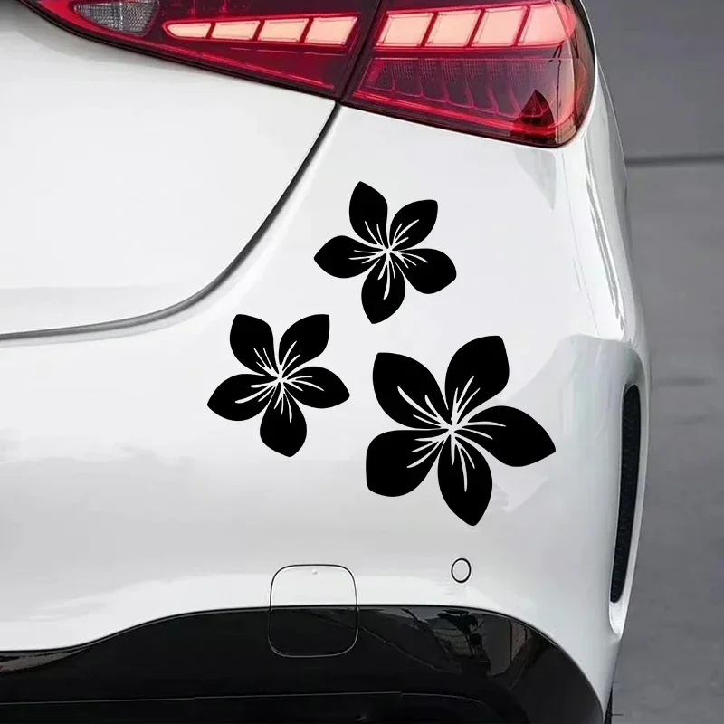 Various Colors Pretty Flower G - Weight Plate Bumper 评论和价格
