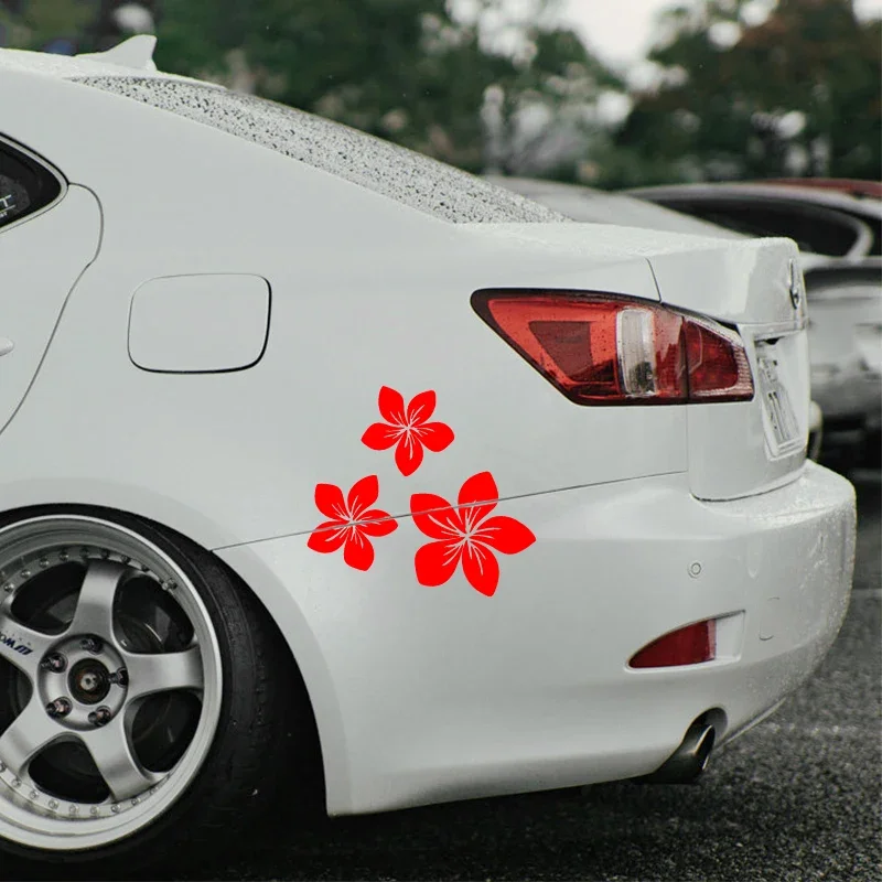 Various Colors Pretty Flower G - Weight Plate Bumper 评论和价格