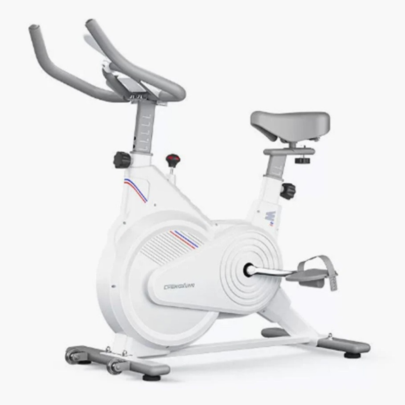 Indoor Stationary Spin Bike, S - Home Gym Setup 评论和价格