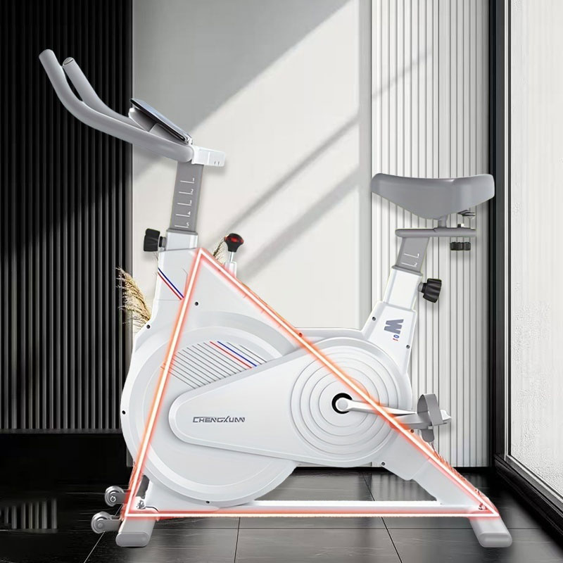 Indoor Stationary Spin Bike, S - Home Gym Setup 评论和价格