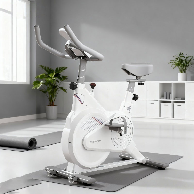 Indoor Stationary Spin Bike, S - Home Gym Setup 评论和价格